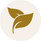 Minimalist leaf design logo